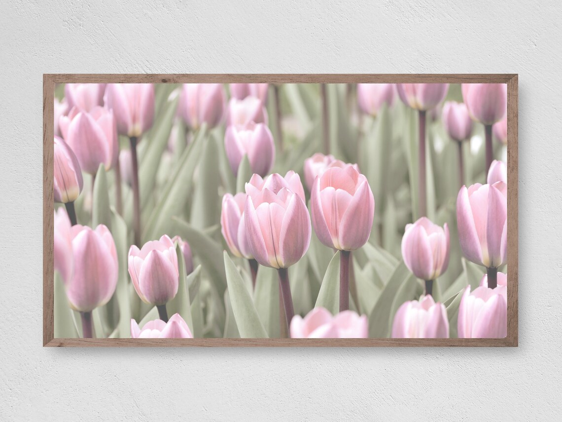 Spring Tulips Farmhouse Art Print, Seasonal Decor