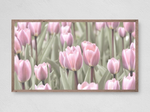 Spring Tulips Farmhouse Art Print, Seasonal Decor