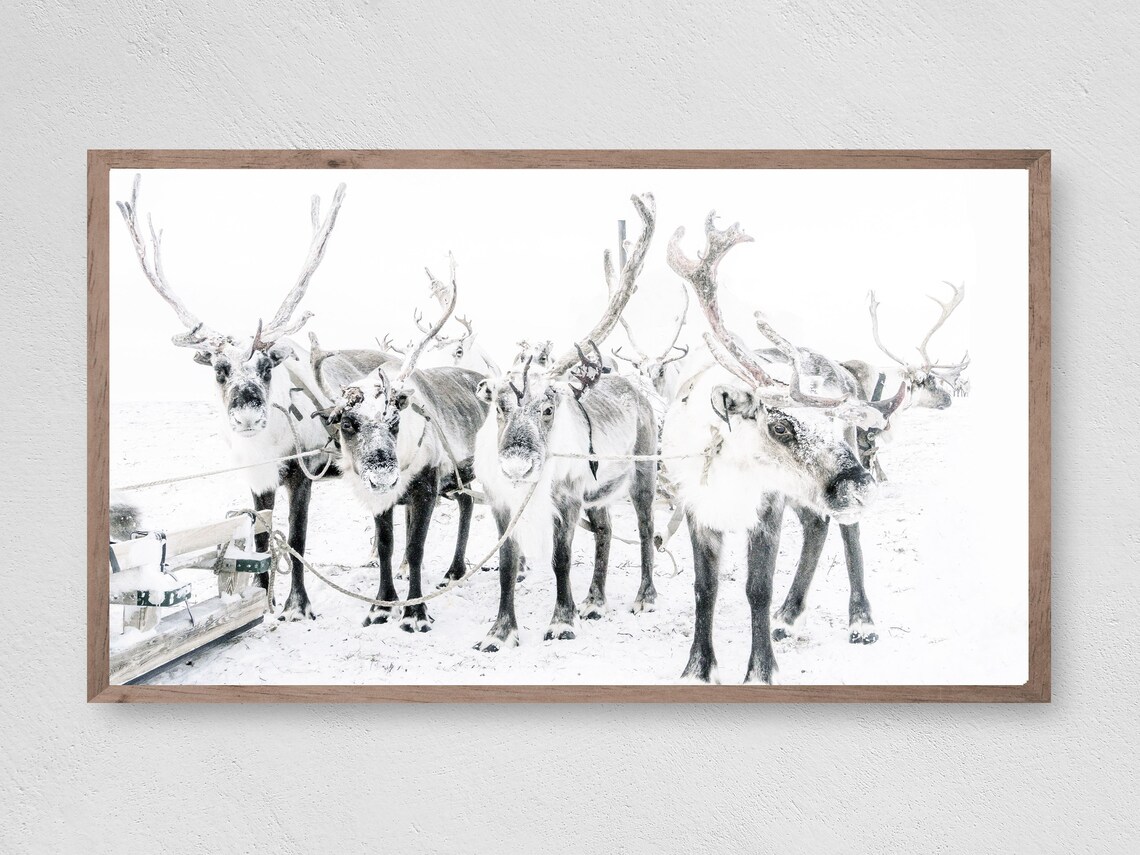 Reindeer Snow Group Frame TV Art, Winter Christmas