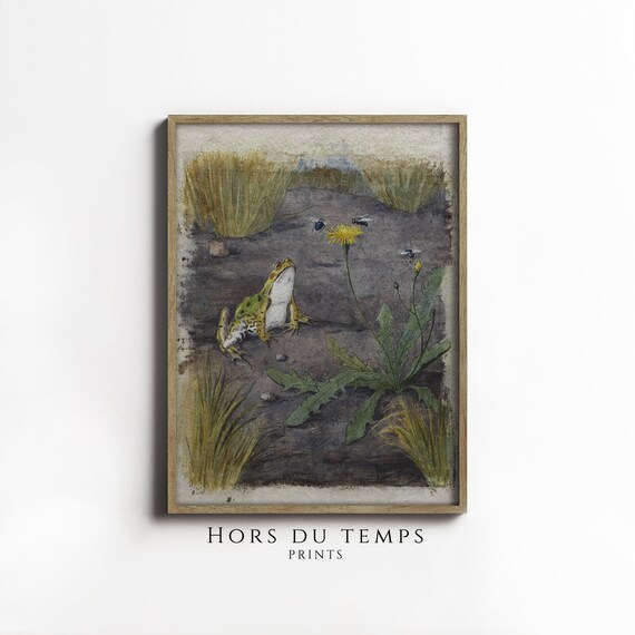Vintage Frog Pond Watercolor Dandelion Natural History Art Poster