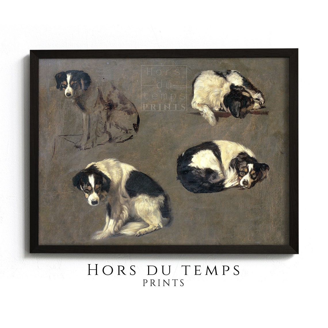 Black and White Dog Four Studies Vintage Canine Art Wall Poster