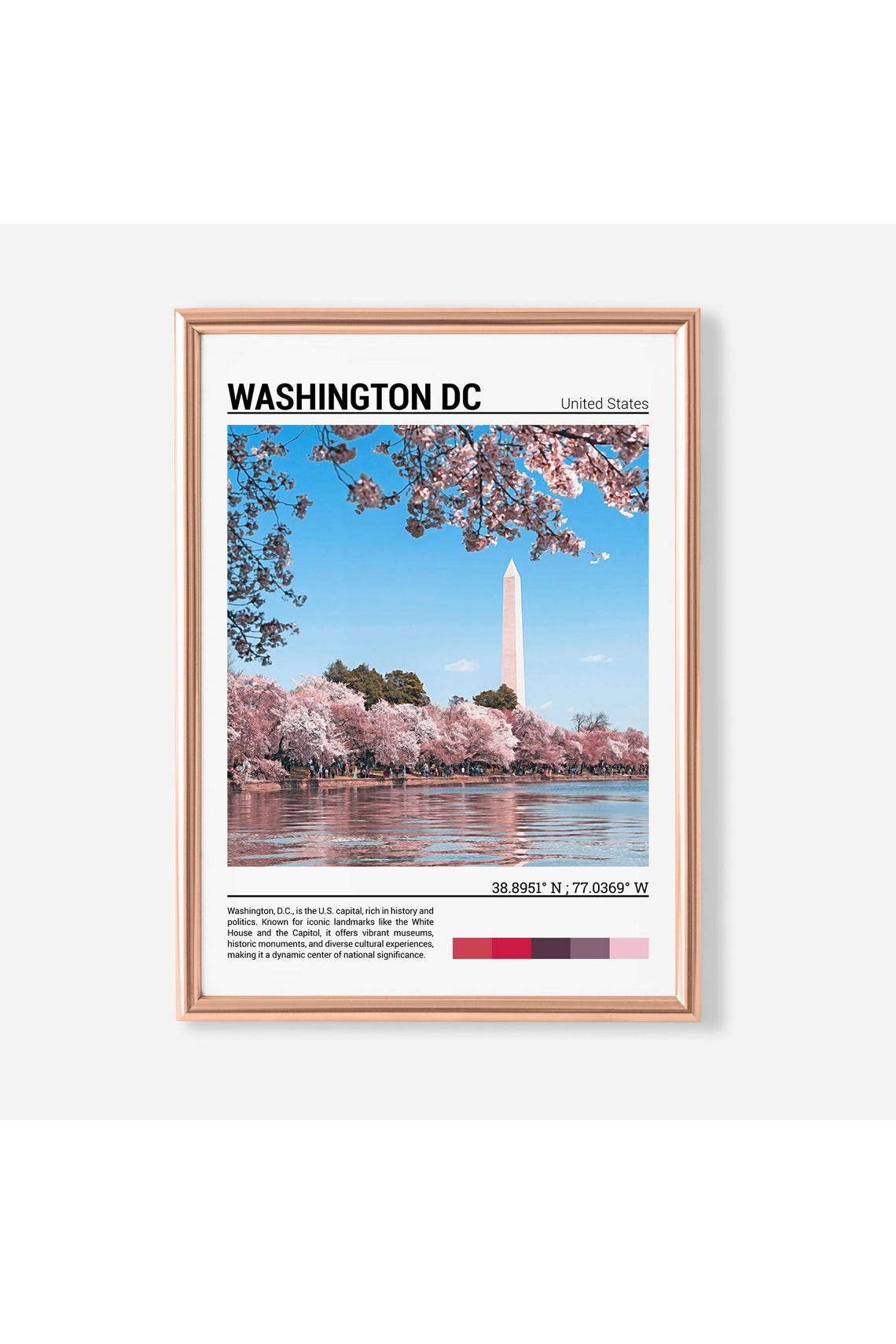 Washington DC Spring Cherry Blossoms Monument Blossom Scene Poster