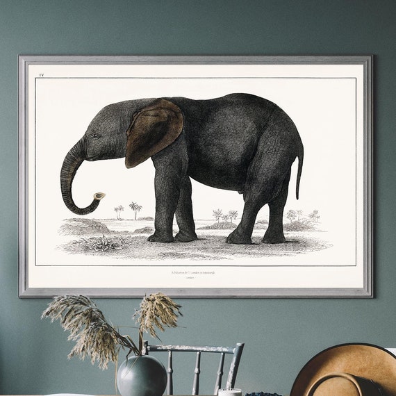 Vintage Elephant Illustration By Oliver Goldsmith Antique Animal Print Rustic Wildlife Wall Art