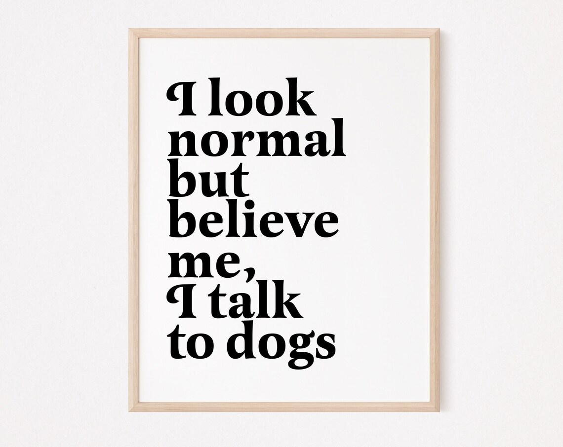 I Look Normal But Believe Me I Talk To Dogs Funny Quote Poster