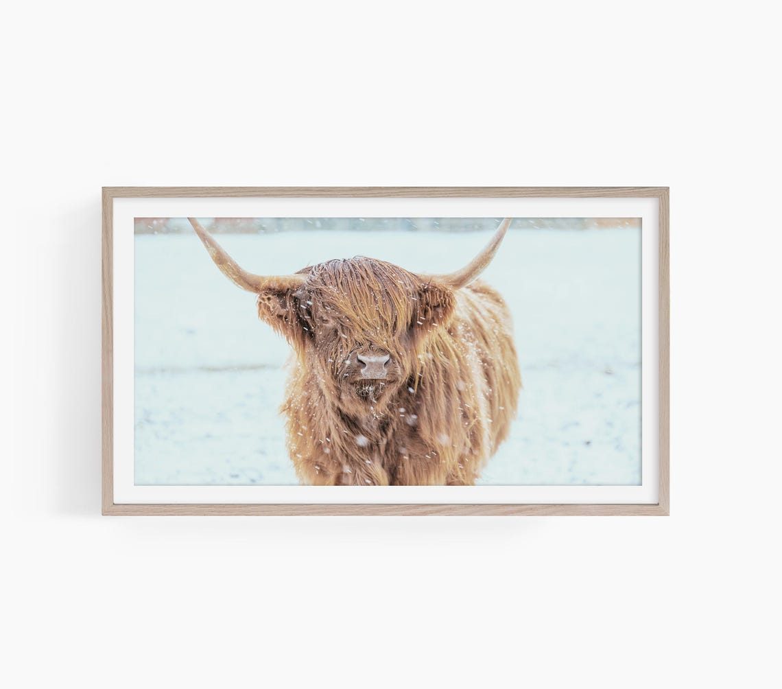 Frame Tv Art Winter Highland Cow Tv Art Highland Cow Frame Tv Art Snowy Winter Tv Art Seasonal Frame Tv Winter Cow T777
