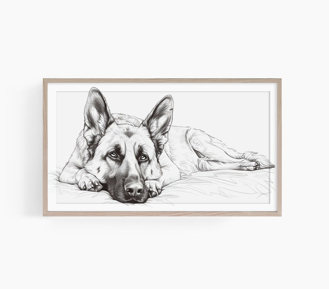 Loyal German Shepherd Black Pencil Sketch Resting Dog Art Poster
