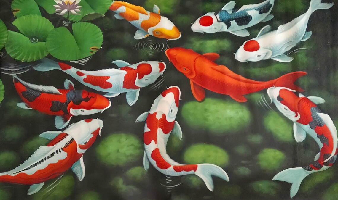 9 Koi Fish Painting, Fresh Natural Nuance - Image 5