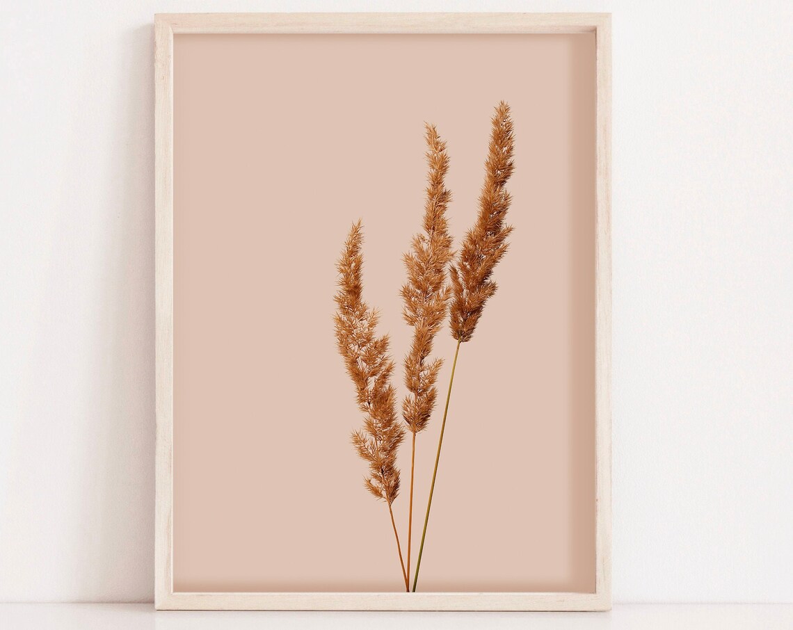 Dried Pampas Grass On Terracotta Minimalist Botanical Wall Art