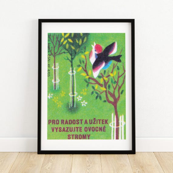 Plant Fruit Trees And Benefit Matchbox Print Aesthetic Wall Art Vintage Art Matchbox Wall Poster Vintage Poster Print