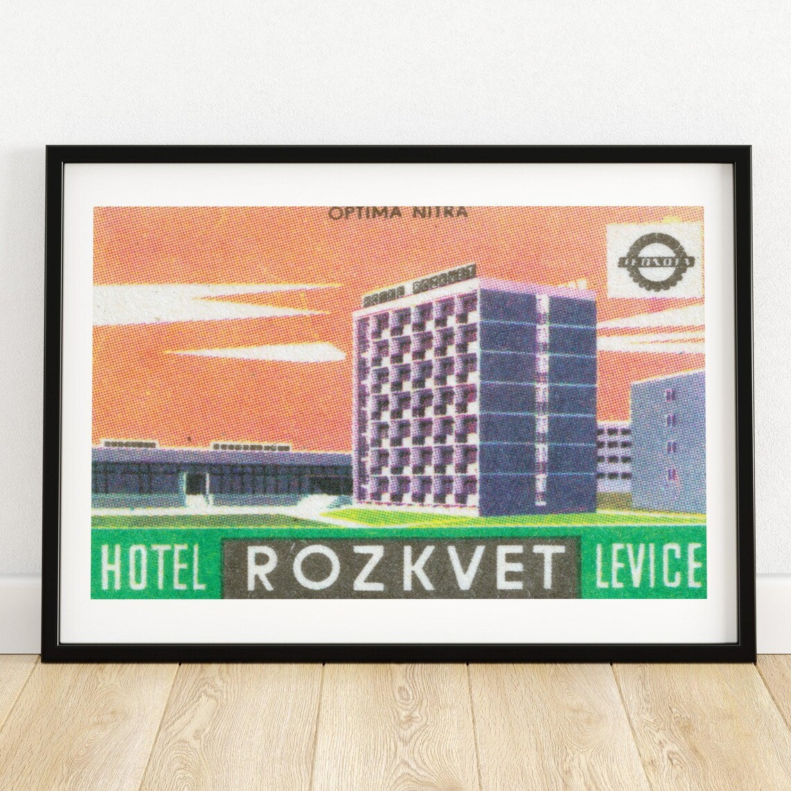 Hotel Rozkvet Levice Retro Mid Century Vintage Architecture Poster