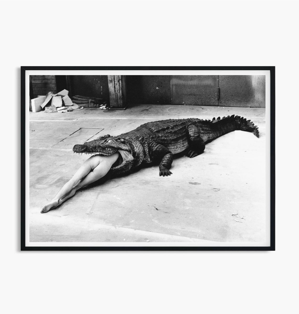 Croc Eating Lady Art Crocodile Eating Ballerina Wall Art Vintage Alligator Print Vintage Crocodile Poster Crocodile Posters Crocodiles