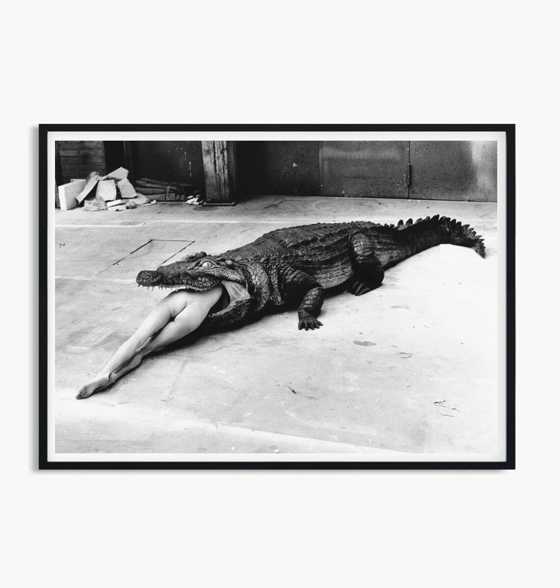 Vintage Crocodile Eating Lady Surreal Bizarre Photo Art Poster