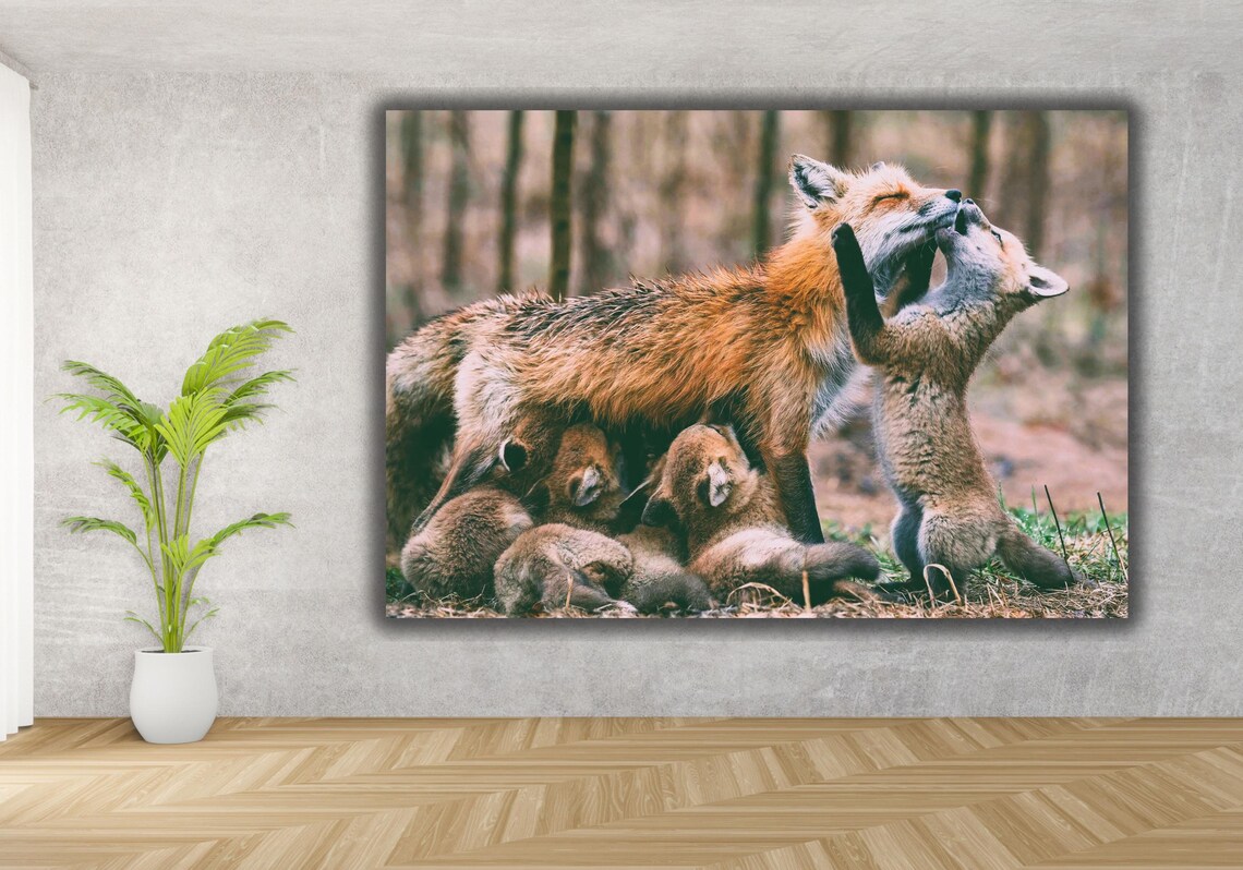 Red Fox Mother With Playful Kits Woodland Wildlife Photo Poster - Image 2