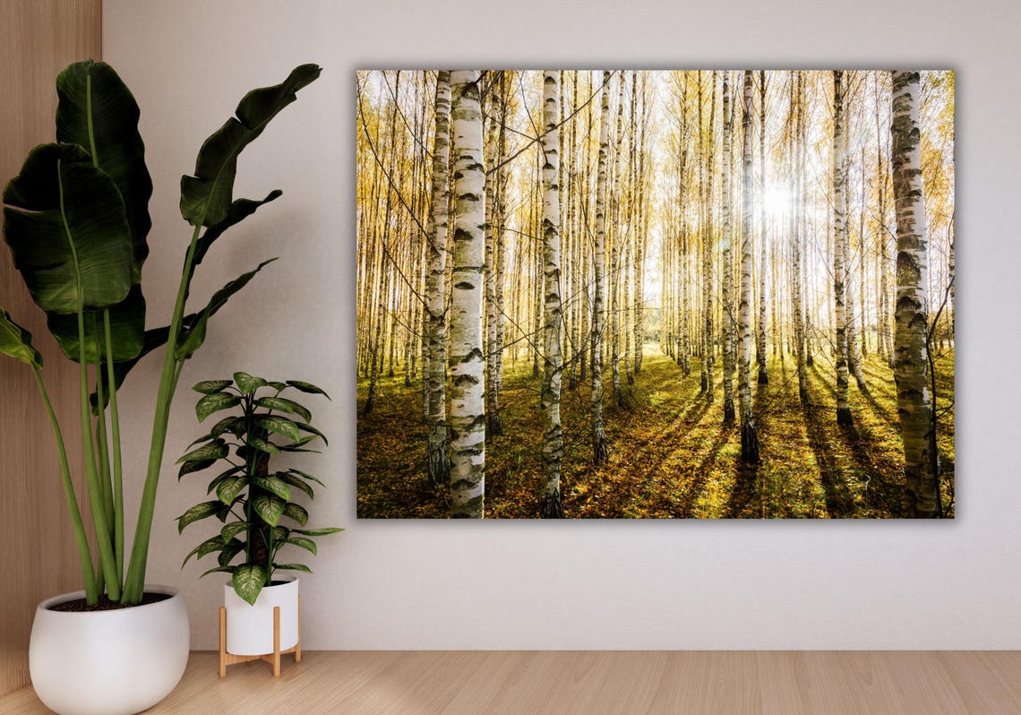 Birch Forest Sunlight Golden Autumn Nature Landscape Art Poster - Image 3
