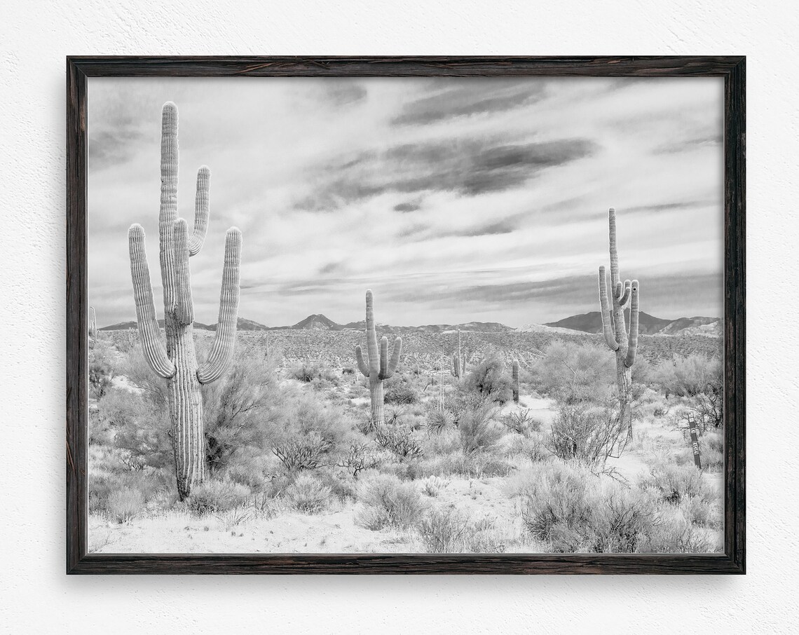 Black White Desert Saguaro Cacti Mountains Arizona Travel Poster