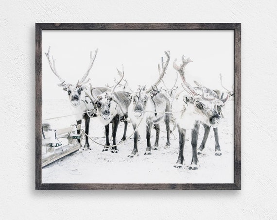 Reindeer In The Snow Christmas Wall Decor, Art Print