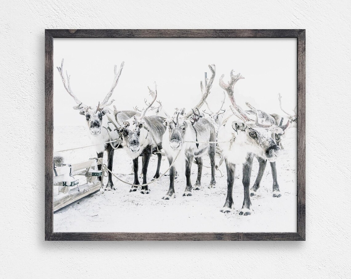 Reindeer In The Snow Christmas Wall Decor, Art Print