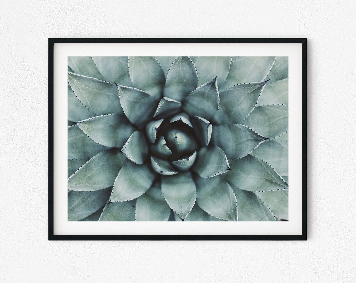 Succulent Beach Hawaii Garden Wall Art Print