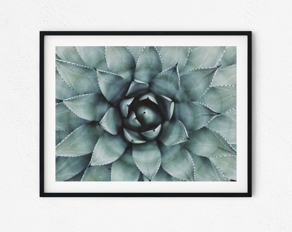 Succulent Beach Hawaii Garden Wall Art Print