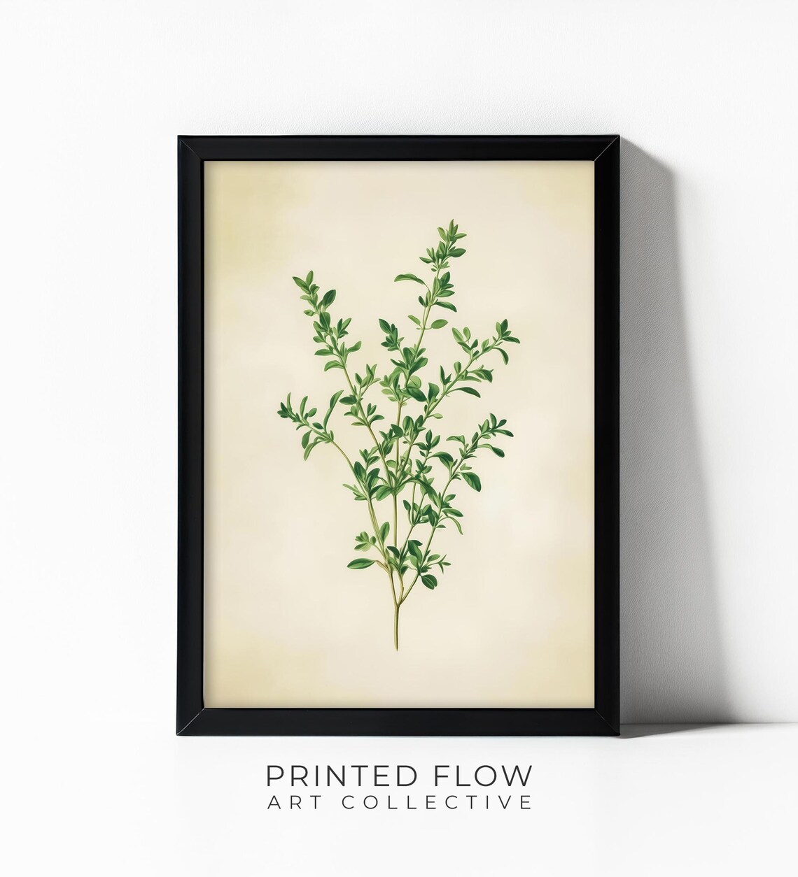 Thyme Wall Art, Minimalist Botanical Decor