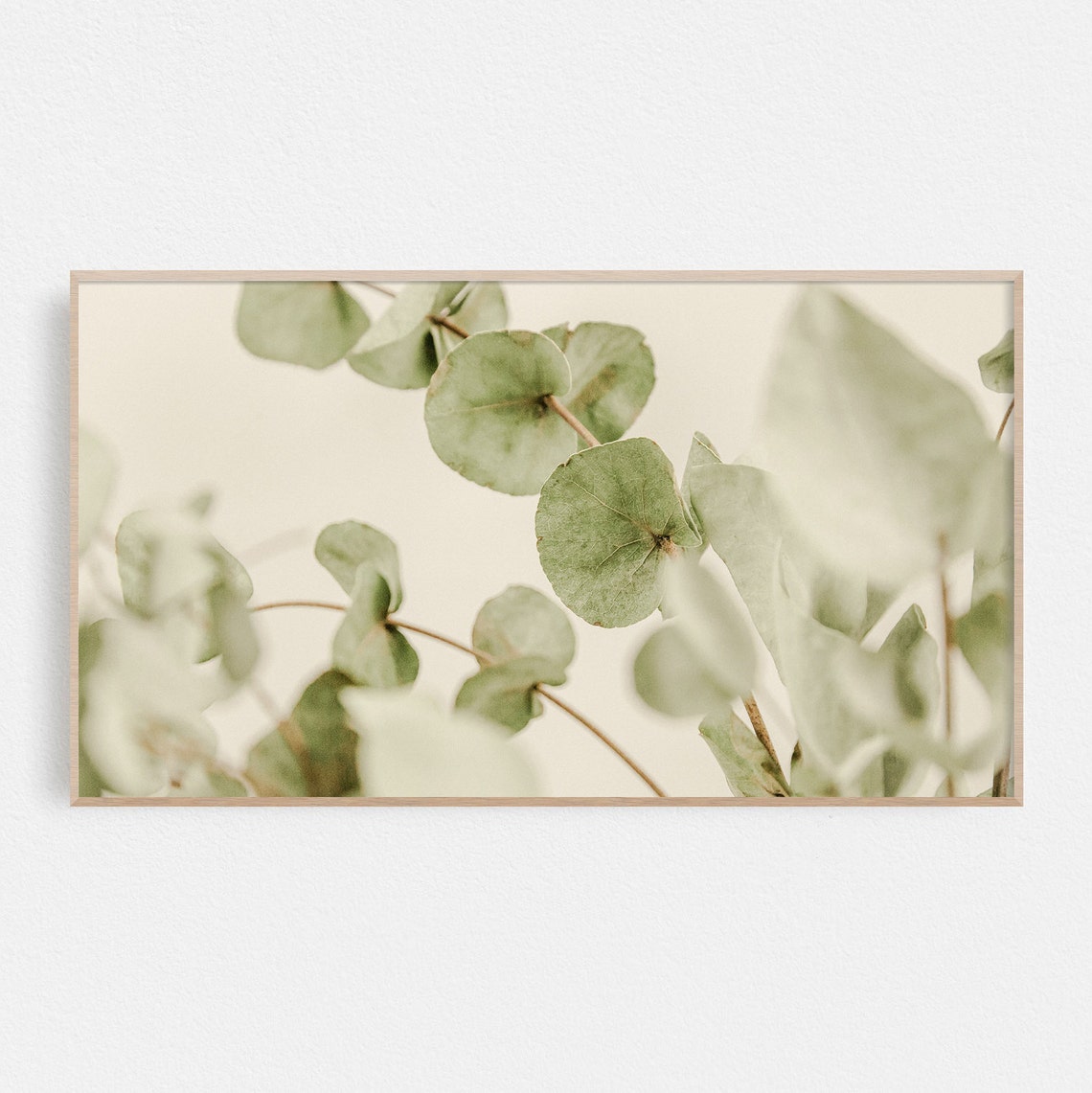 Fresh Green Eucalyptus Leaves Neutral Botanical Photography Print