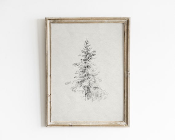 Vintage Evergreen Tree Sketch, Neutral Art Print