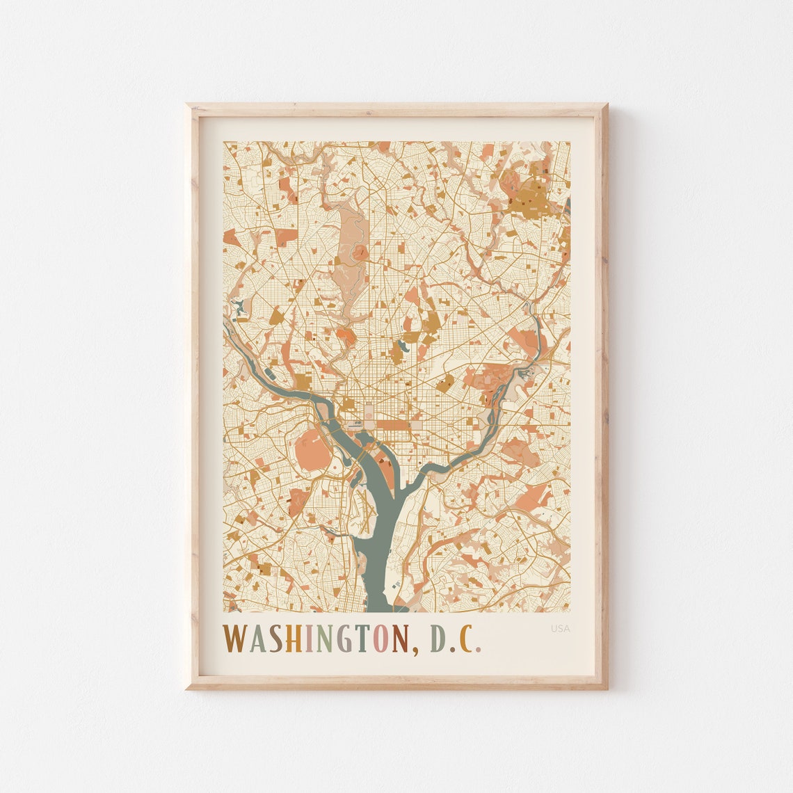 Washington DC Detailed Capital City Map Multicolor Art Poster