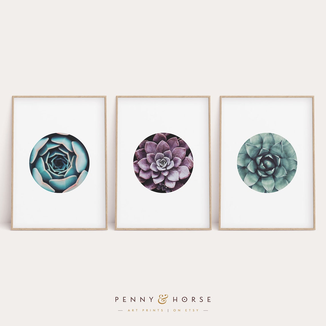 Succulent Botanical Prints Set of Three Colorful Modern Wall Art - Image 4