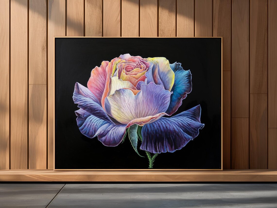 Juliet Rose Full Bloom Purple Pink Yellow Petals Floral Poster