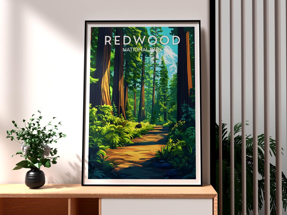 Redwood National Park Ancient Forest Trail Sunlight Path Poster