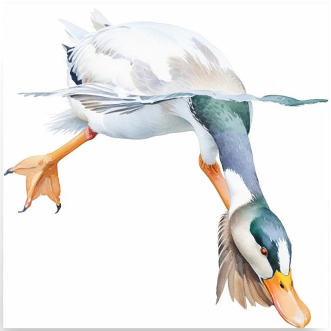 Whimsical White Duck Diving Headfirst Watercolor Bird Poster