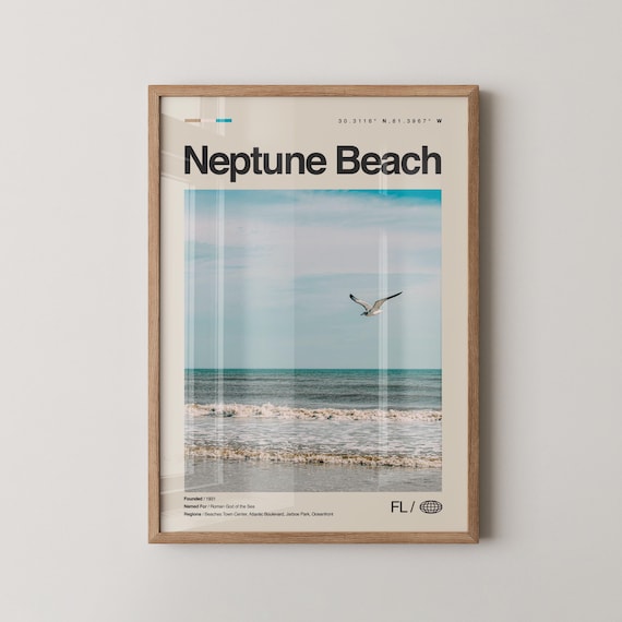 Neptune Beach Florida Seagull Ocean Photography Travel Poster