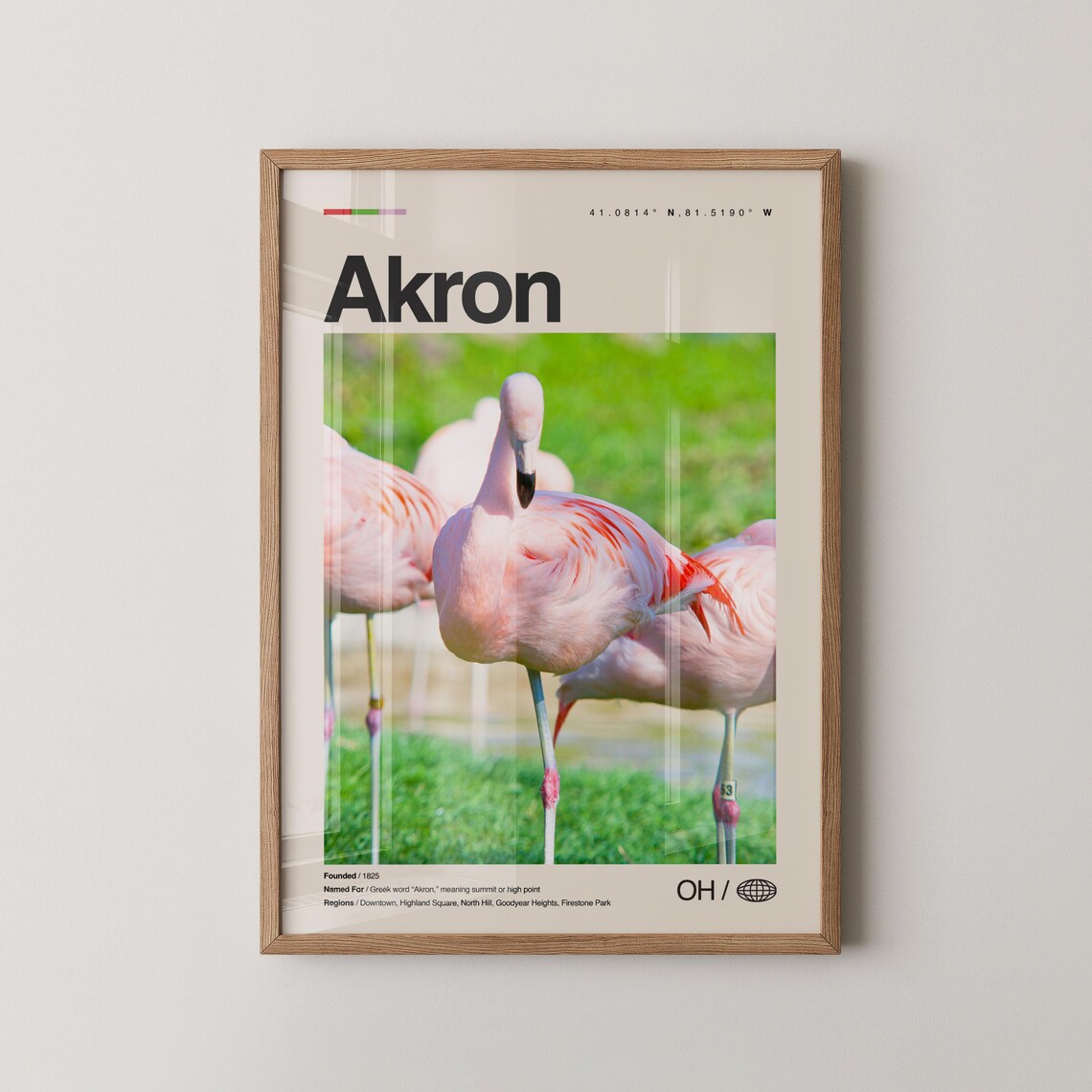 Akron Ohio Pink Flamingo Wildlife Close-Up Photo Travel Poster