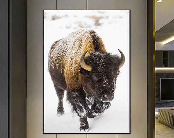 Buffalo In Snow Original Pictures Art Wall Decor Canvas Home Office Print