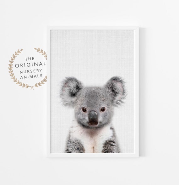 Baby Koala Nursery Wall Art, Australian Animal Print