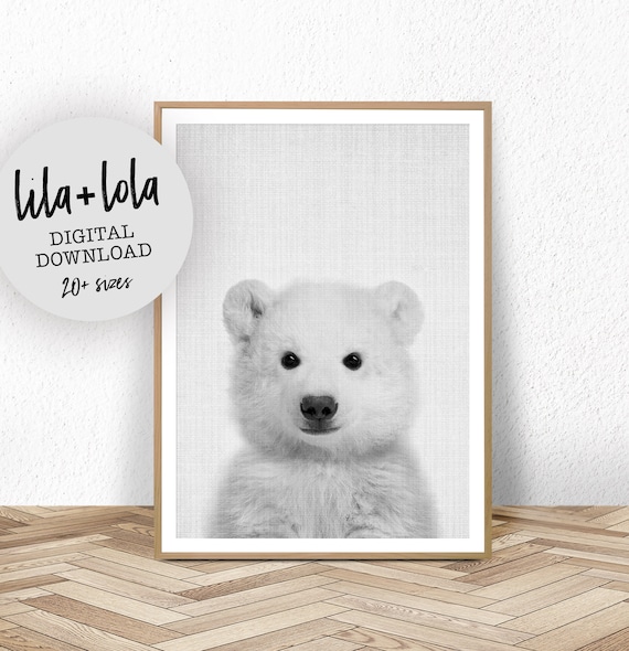 Baby Polar Bear Art Print, Nursery Animal Decor