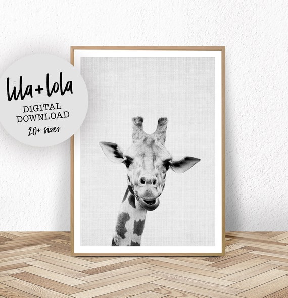Giraffe Photo Print, Safari Nursery Wall Art