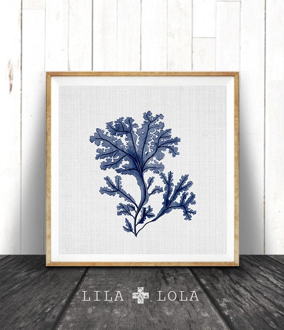 Indigo Seaweed Illustration, Coastal Nautical Art Print
