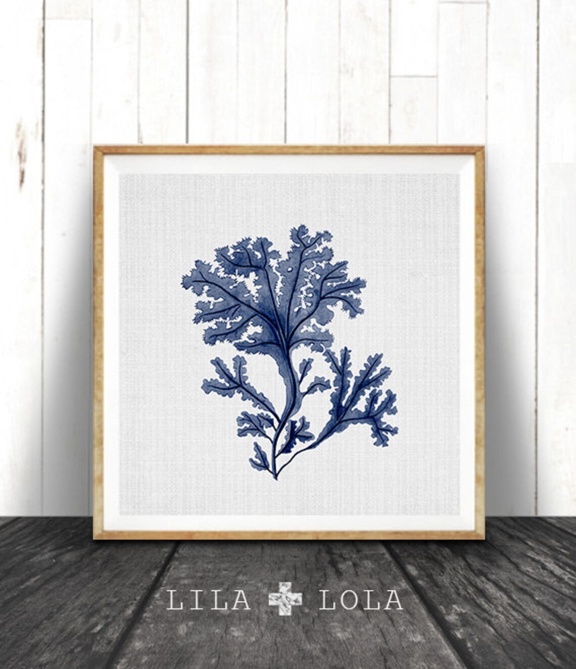 Indigo Seaweed Illustration, Coastal Nautical Art Print