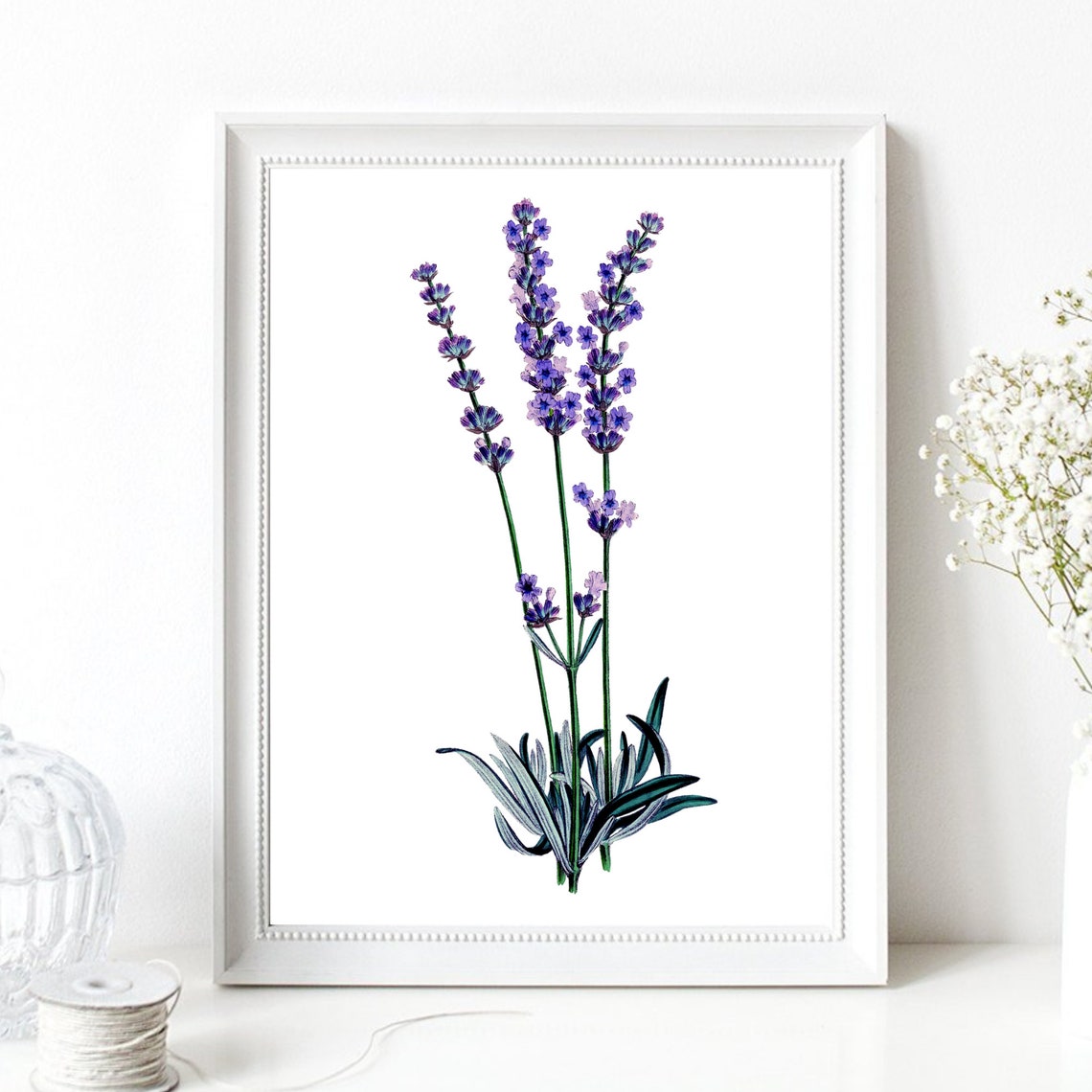 Lavender Botanical Illustration Vintage Floral Flower Art Poster