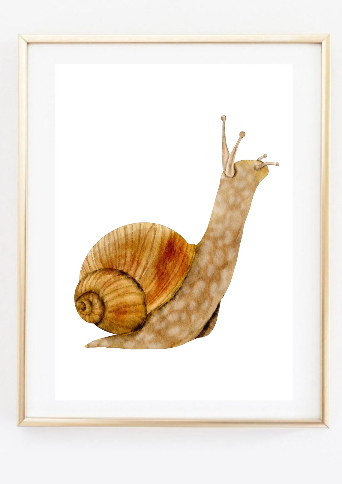 Brown Garden Snail Watercolor Painting Slow Life Cute Animal Wall Art - Image 3