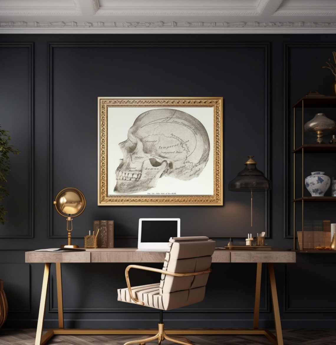 Antique Anatomical Skull Engraving Vintage Science Art Poster
