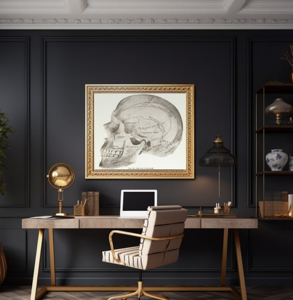 Antique Skull Image Poster Vintage Skull Poster Vintage Skull Print Matte Vintage Skull Poster