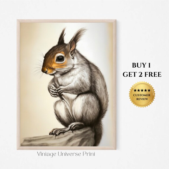 Curious Squirrel Close-Up Portrait Vintage Animal Illustration Poster