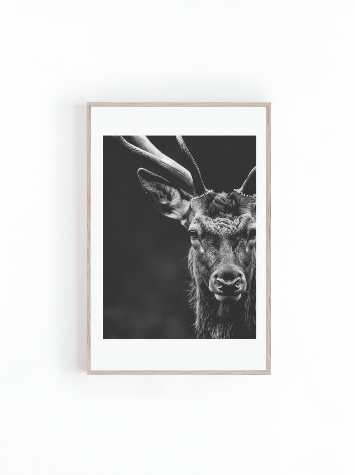 Red Stag With Large Antlers Dark Moody Portrait Photo Poster