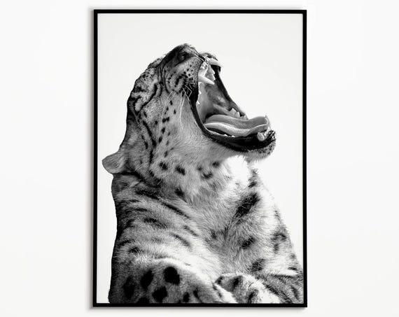 Leopard Print Animal Print Leopard Art Wild Animal Print Fashion Print Jungle Print Dorm Room Decor Black And White Art