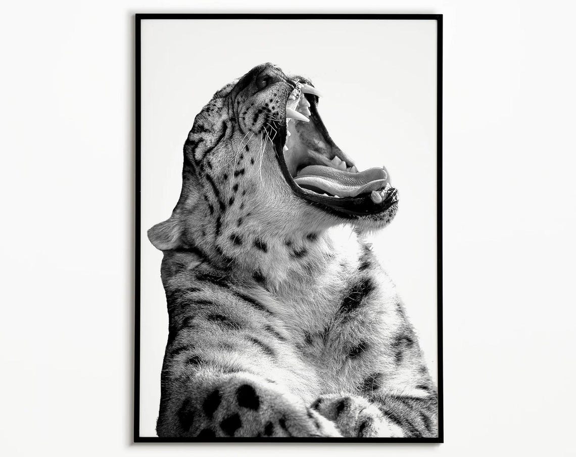 Yawning Spotted Wild Cat Black and White Big Cat Animal Art Poster