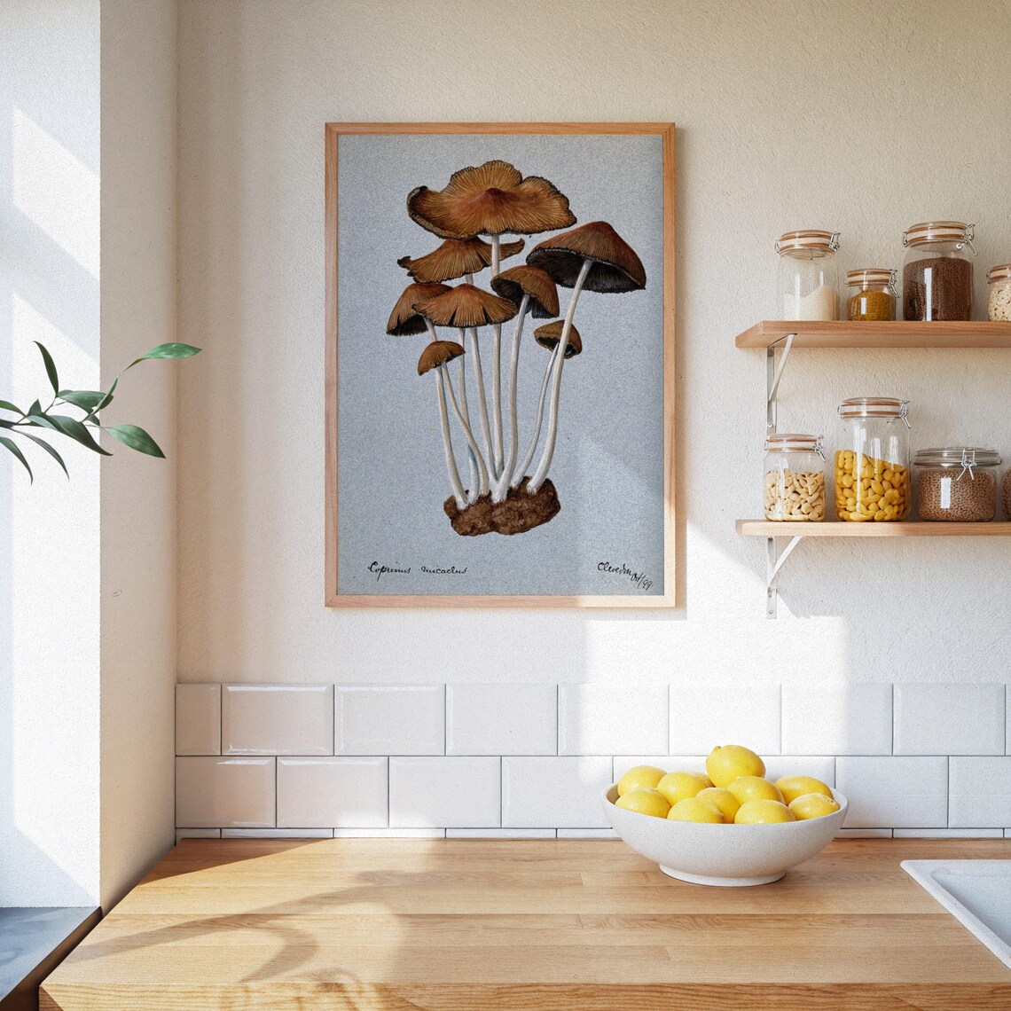 Retro Mushroom Poster, Vintage Nature Decor - Image 3