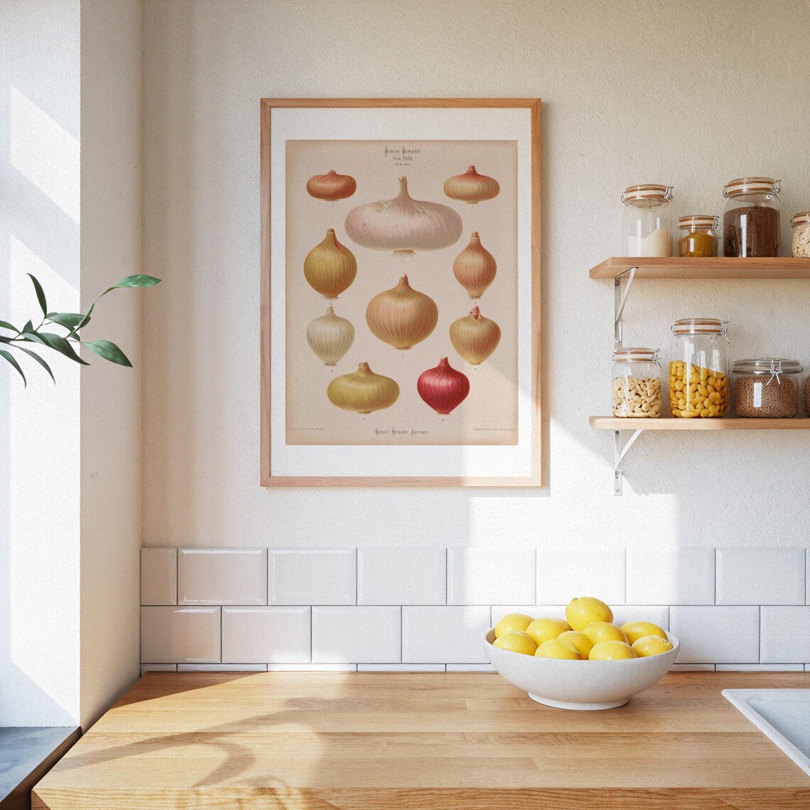 Vintage Retro Onion Illustration, Nostalgic Poster - Image 3