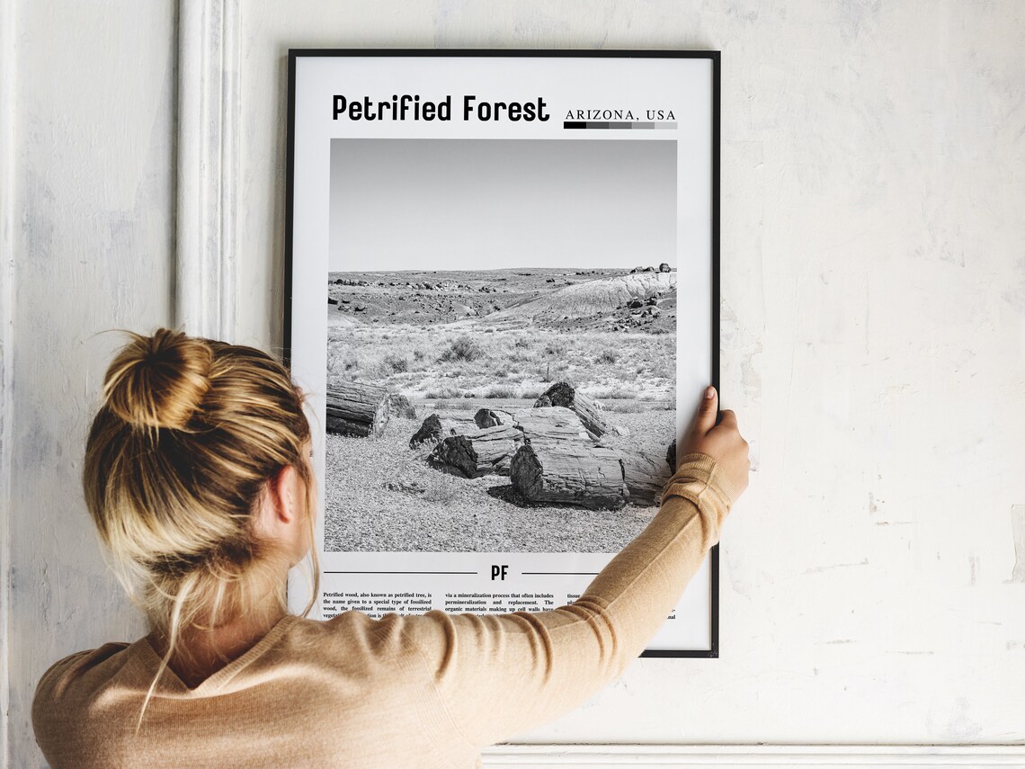 Petrified Forest - Minimal Travel Poster - Image 5